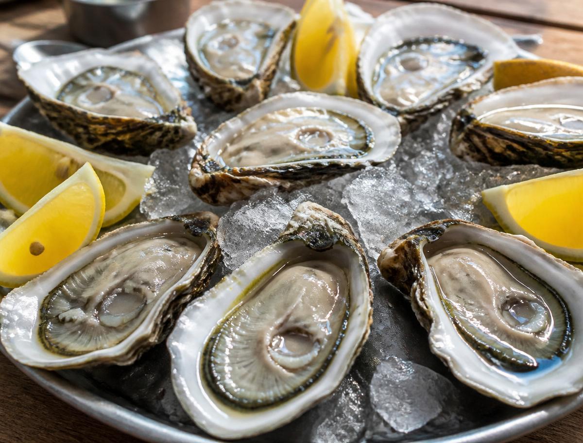 Fresh shucked oysters on ice with lemon wedges
